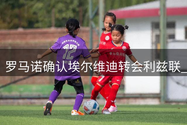 罗马诺确认埃尔维迪转会利兹联 总价超800万欧元